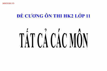 Tài liệu ôn thi HK2 lớp 11 tất cả các môn