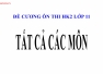 Tài liệu ôn thi HK2 lớp 11 tất cả các môn