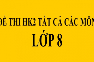 Tài liệu ôn thi HK2 lớp 8 tất cả các môn