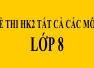 Tài liệu ôn thi HK2 lớp 8 tất cả các môn